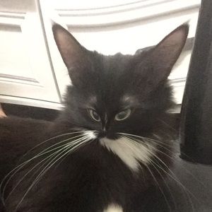 Meet your Posher, Trinity